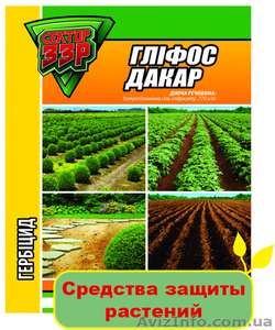 Высококачественные редства защиты растений - <ro>Изображение</ro><ru>Изображение</ru> #1, <ru>Объявление</ru> #1095843