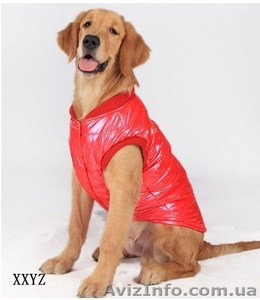 Одежда для больших собак лабрадор доберман мастиф - <ro>Изображение</ro><ru>Изображение</ru> #1, <ru>Объявление</ru> #1088379