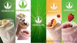 Продукция Гербалайф Украина, цены Herbalife , коктейль Формула 1 Гербалайф - <ro>Изображение</ro><ru>Изображение</ru> #1, <ru>Объявление</ru> #1090071