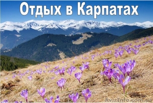 Отдых в Карпатах дом в горах