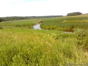 Продам отличный участок на берегу реки рядом с озером  - <ro>Изображение</ro><ru>Изображение</ru> #7, <ru>Объявление</ru> #1105300