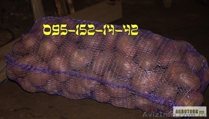 Продам картофель оптом от производителя от 10 тонн, узнай ! - <ro>Изображение</ro><ru>Изображение</ru> #1, <ru>Объявление</ru> #1139780