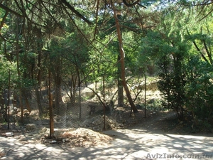   Продам участок в центре г.Ялты 6.7 соток.