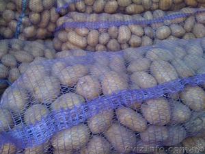 Агро фирма продает картофель белых и розовых сортов,  количество ограничено. Успе