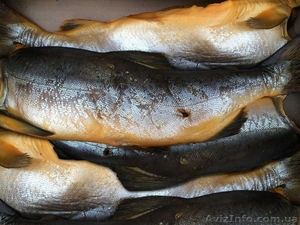 Рыба и морепродукты холодного и горячего копчения оптом - <ro>Изображение</ro><ru>Изображение</ru> #4, <ru>Объявление</ru> #1150935