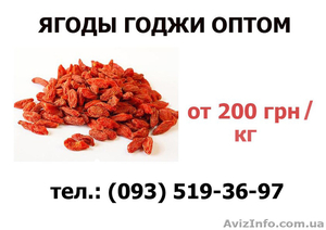 Ягоды годжи оптом . Доставка по всей Украине  - <ro>Изображение</ro><ru>Изображение</ru> #1, <ru>Объявление</ru> #1149146