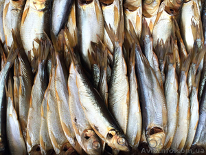 Рыба и морепродукты холодного и горячего копчения оптом - <ro>Изображение</ro><ru>Изображение</ru> #7, <ru>Объявление</ru> #1150935