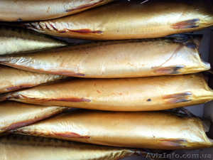 Рыба и морепродукты холодного и горячего копчения оптом - <ro>Изображение</ro><ru>Изображение</ru> #6, <ru>Объявление</ru> #1150935