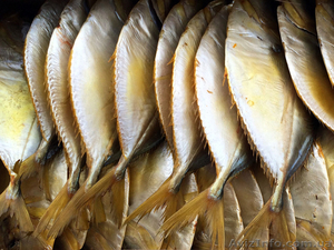 Рыба и морепродукты холодного и горячего копчения оптом - <ro>Изображение</ro><ru>Изображение</ru> #2, <ru>Объявление</ru> #1150935