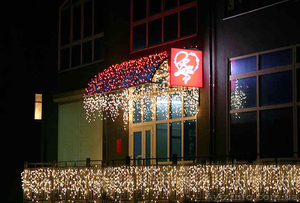 Новогоднее оформление магазинов, световая иллюминация. Монтаж световых гирлянд. - <ro>Изображение</ro><ru>Изображение</ru> #5, <ru>Объявление</ru> #1164500
