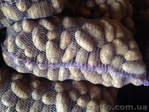 Продам отборный картофель,  с доставкой,  звони!