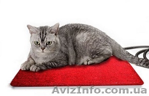 Нагревательный коврик для кошек. - <ro>Изображение</ro><ru>Изображение</ru> #1, <ru>Объявление</ru> #1182790