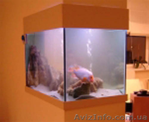 Вырезаем стекло для аквариумов - <ro>Изображение</ro><ru>Изображение</ru> #1, <ru>Объявление</ru> #1197915