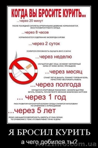 Как Бросить Курить за 14 дней! - <ro>Изображение</ro><ru>Изображение</ru> #1, <ru>Объявление</ru> #1206149