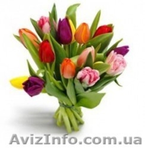 Букет тюльпанов для фирм    - <ro>Изображение</ro><ru>Изображение</ru> #4, <ru>Объявление</ru> #1225934
