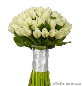 Букет тюльпанов для фирм    - <ro>Изображение</ro><ru>Изображение</ru> #3, <ru>Объявление</ru> #1225934