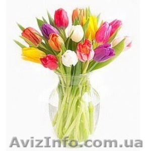Букет из тюльпанов  - <ro>Изображение</ro><ru>Изображение</ru> #3, <ru>Объявление</ru> #1221745