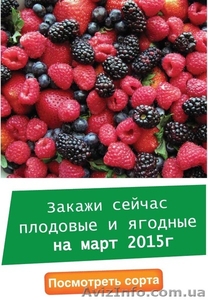Саженцы, удобрения, семена, садовый инвентарь - <ro>Изображение</ro><ru>Изображение</ru> #2, <ru>Объявление</ru> #1226264