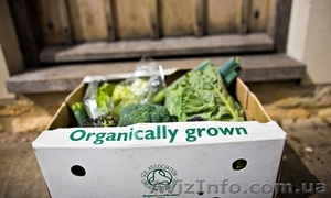 Продам часть доли в бизнесе экопродукты