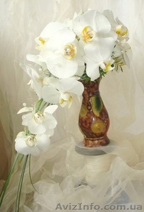 Свадебный букет из живых орхидей - <ro>Изображение</ro><ru>Изображение</ru> #2, <ru>Объявление</ru> #1217465