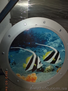 Картина Рыбы в аквариуме - <ro>Изображение</ro><ru>Изображение</ru> #1, <ru>Объявление</ru> #1243324