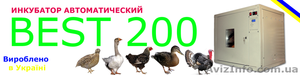 Автоматический инкубатор Best – 200 - <ro>Изображение</ro><ru>Изображение</ru> #1, <ru>Объявление</ru> #1251089