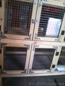 Клетки для кроликов из дерева