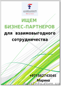 Откроем  Вашу  компанию  в   Дубае - <ro>Изображение</ro><ru>Изображение</ru> #4, <ru>Объявление</ru> #1302786