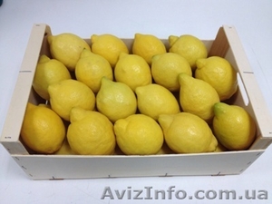 Продаем лимоны из Испании - <ro>Изображение</ro><ru>Изображение</ru> #1, <ru>Объявление</ru> #1328955