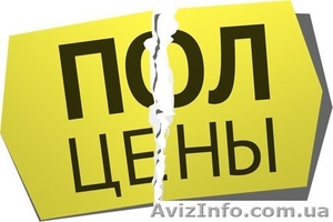 Курсы английского языка за 50%!