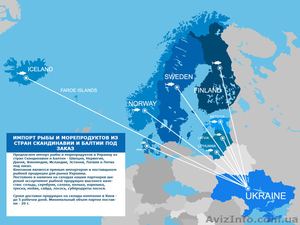 Импорт рыбы и морепродуктов из стран Скандинавии и Балтии - <ro>Изображение</ro><ru>Изображение</ru> #1, <ru>Объявление</ru> #1334076