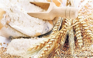 Продам муку. Оптом. Высший сорт. Украина.