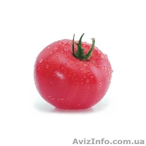 Семена индетерминантного томата Касамори F1 100 семян (Kitano Seeds)