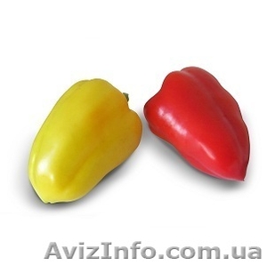 Семена перца сладкого Яника F1 1000 семян (Kitano Seeds)