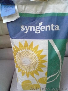 Семена подсолнечника Syngenta (Сингента) Брио,  Рокки,  Неома