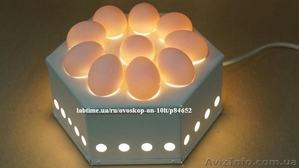 Овоскоп на 10 яиц - <ro>Изображение</ro><ru>Изображение</ru> #1, <ru>Объявление</ru> #1378686