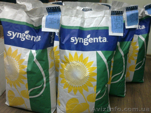 Семена подсолнечника Syngenta (Сингента) Санлука РМ. Оригинал 100%