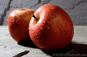 Яблоко польское от производителя в розницу и оптом. - <ro>Изображение</ro><ru>Изображение</ru> #1, <ru>Объявление</ru> #1366760