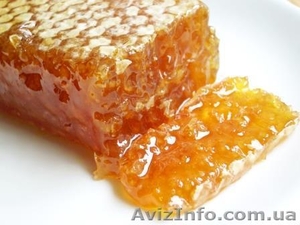 Продам натуральный цветочный мёд ! - <ro>Изображение</ro><ru>Изображение</ru> #2, <ru>Объявление</ru> #1370715