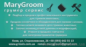 MaryGroom: зоосалон, школа груминга, магазин для грумеров  - <ro>Изображение</ro><ru>Изображение</ru> #1, <ru>Объявление</ru> #1379286