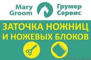 Сервисный центр Грумер-сервис  MaryGroom - <ro>Изображение</ro><ru>Изображение</ru> #1, <ru>Объявление</ru> #1379390