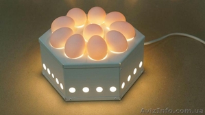 Oвоскоп ОН-10лт для визуального контроля качества куриных яиц  - <ro>Изображение</ro><ru>Изображение</ru> #3, <ru>Объявление</ru> #1396529