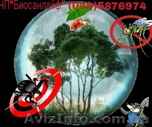 Комплексное уничтожение насекомых. - <ro>Изображение</ro><ru>Изображение</ru> #8, <ru>Объявление</ru> #584959