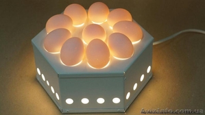 Овоскоп на 10 яиц (портативный, настольный) - <ro>Изображение</ro><ru>Изображение</ru> #1, <ru>Объявление</ru> #1405530