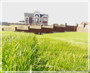 Стрижка газона; покос травы, тримерная стрижка - <ro>Изображение</ro><ru>Изображение</ru> #3, <ru>Объявление</ru> #1406059