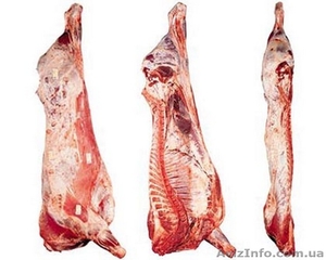 Реализуем мясо говядины на кости в четвертинах та полутушах на постоянной основе - <ro>Изображение</ro><ru>Изображение</ru> #1, <ru>Объявление</ru> #1409661