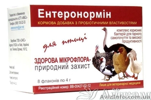 Энтеронормин - уникальный пробиотик! - <ro>Изображение</ro><ru>Изображение</ru> #1, <ru>Объявление</ru> #1407432