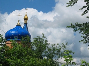 Дом с большим участком.Цена приятно удивит.