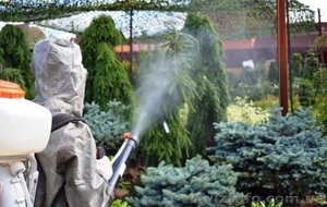 Обработка  помещений                                                            