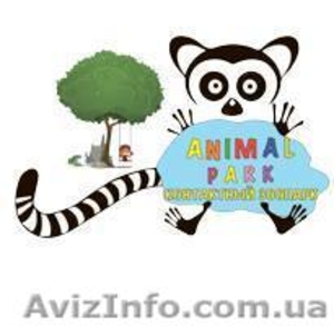 Контактный зоопарк на ВДНХ Киев Animal Park - <ro>Изображение</ro><ru>Изображение</ru> #2, <ru>Объявление</ru> #1480360